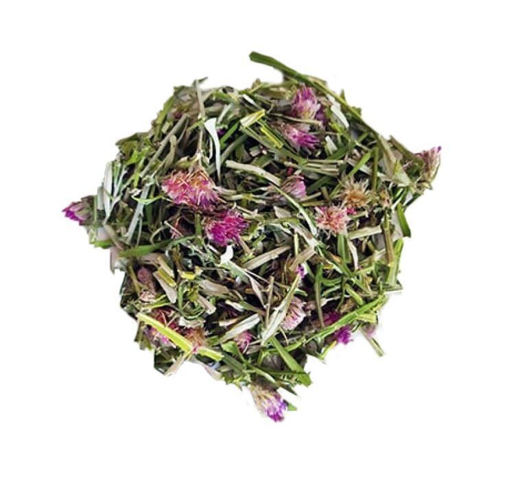 Ekstrakt Saussurea loosestrife u NEOflorax kapsulama