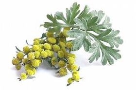 ekstrakt pelina u NEOfloraxu