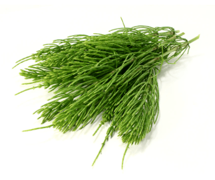 ekstrakt preslice u NEOfloraxu