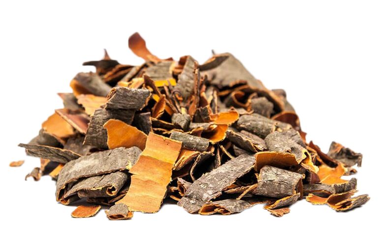 kora jasike u NEOfloraxu